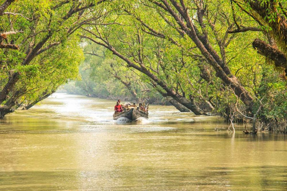 Kolkata to Sundarban Jungle Trip 3 Days Per Person